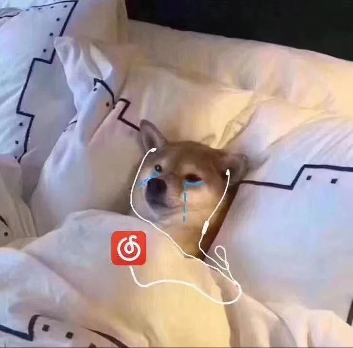 深夜听歌流泪的emo柴犬 头像