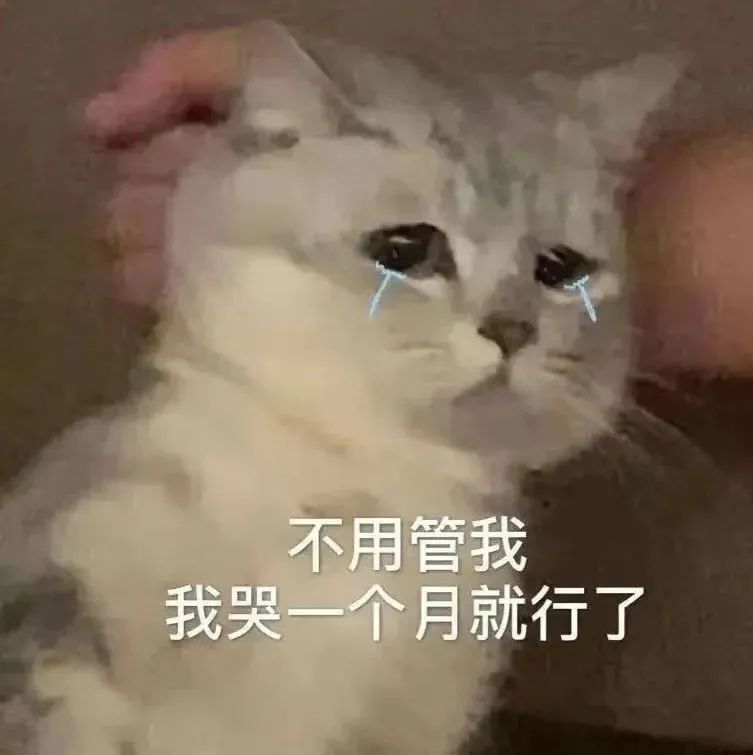 委屈猫咪说不用管我我哭一个月 表情包