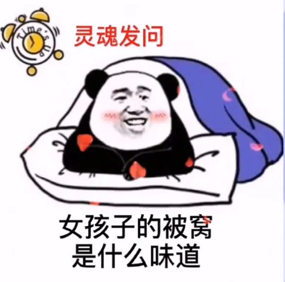 灵魂发问女孩子的被窝啥味道 表情包