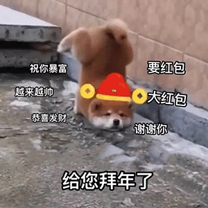 小狗给您拜年求红包 表情包