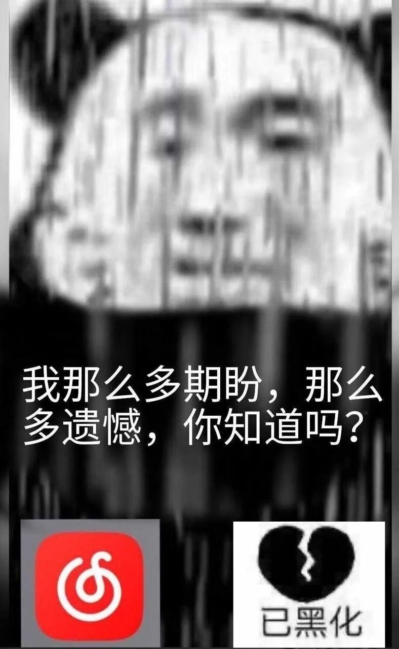 我那么多期盼遗憾你知道吗 - 熊猫头壁纸