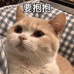 可爱猫咪求抱抱表情包 表情包