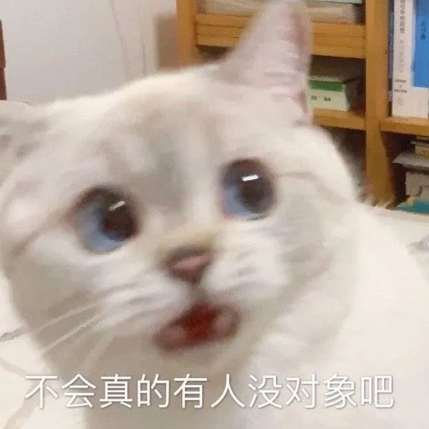 白猫震惊质疑单身人士 表情包