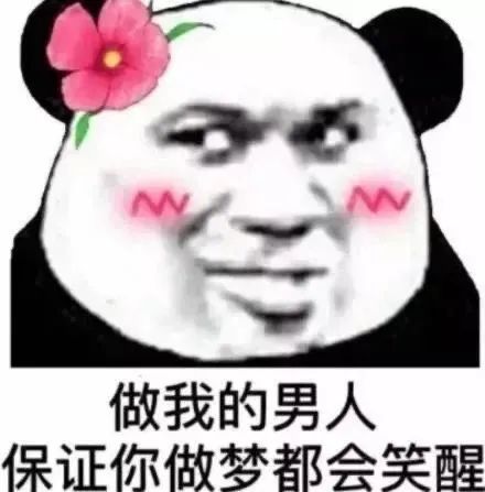 戴花的熊猫头求你做我男人 表情包