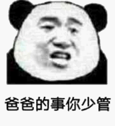 爸爸的事你少管熊猫头表情包 表情包