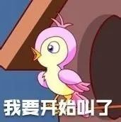 粉色小鸟预告我要开始叫了 表情包
