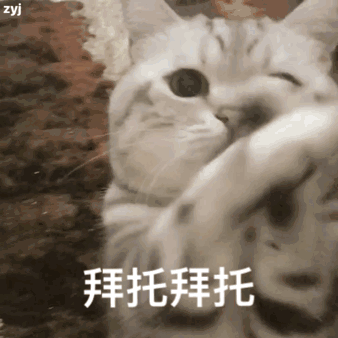 猫咪捂脸斜眼说拜托拜托 表情包