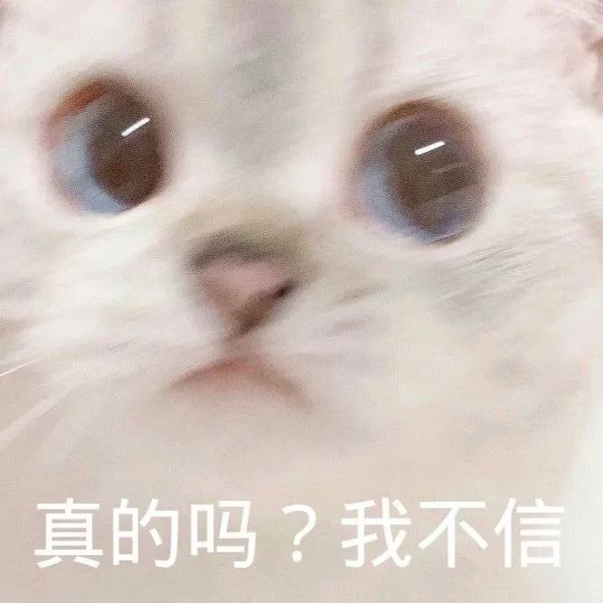 猫咪怀疑的眼神真的吗我不信 - 猫meme表情包