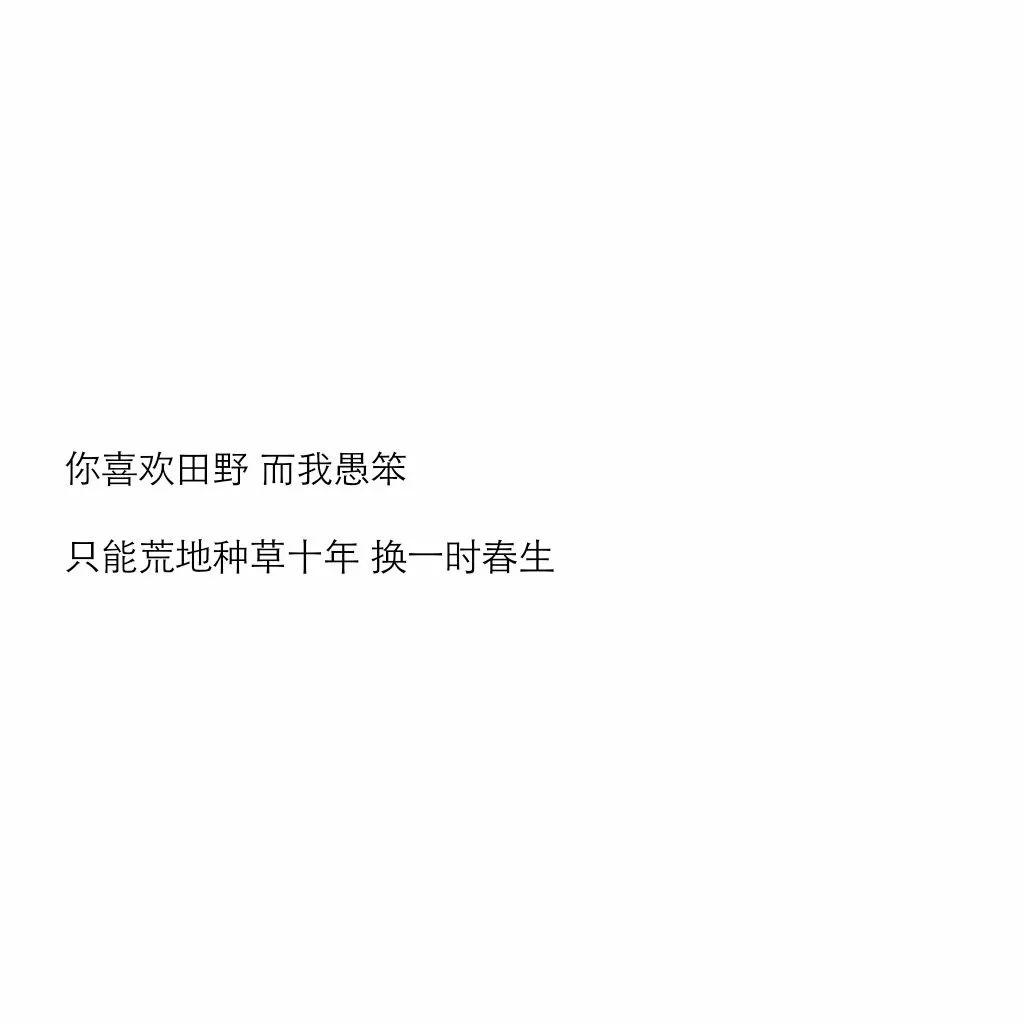 敲好看背景图来啦