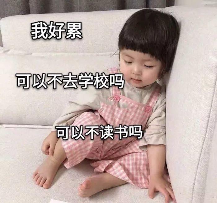 这波表情包敲可爱