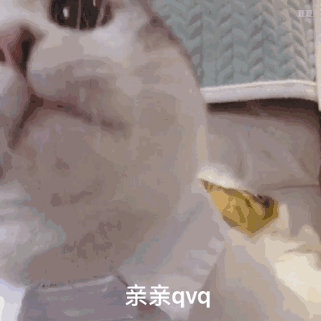 这波表情包敲可爱