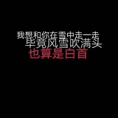 今天的头像有点不一样哦