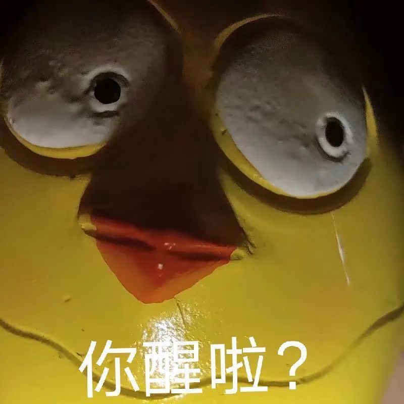 表情包 | 超喜欢的沙雕动图！！！