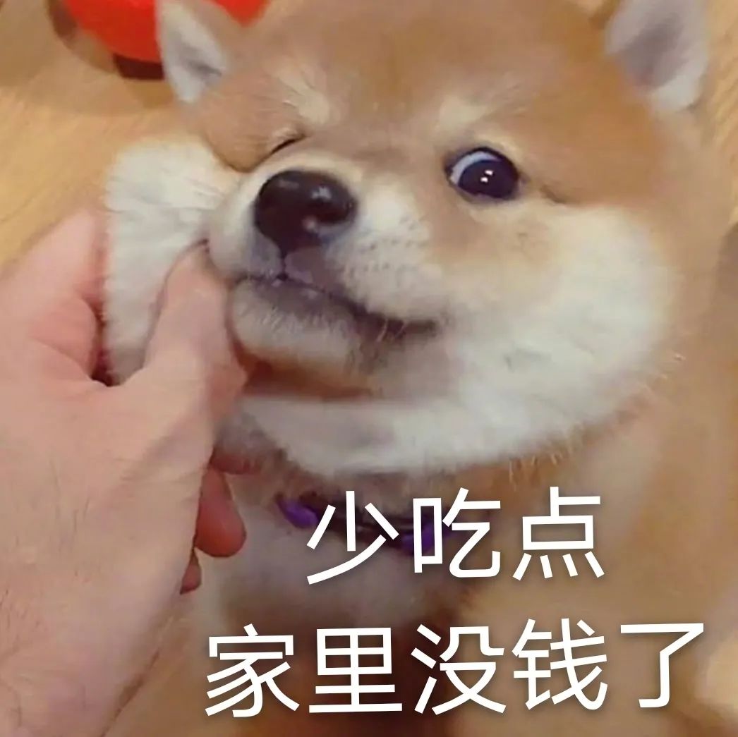 喵星 / 汪星人表情包