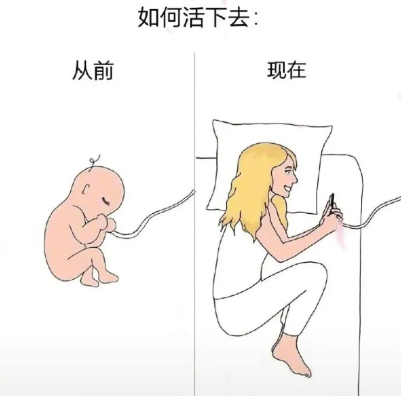 表情包 || 等老子瘦了，我要迷死所有人