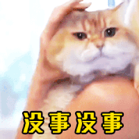 【表情包】洗洗睡吧，梦里什么都有！