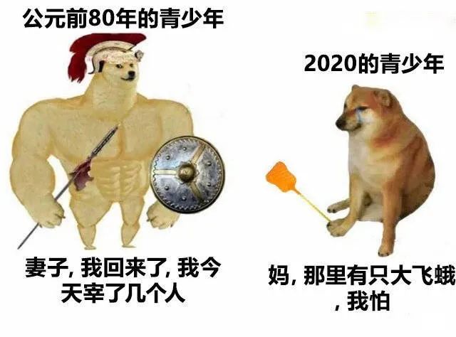 肌肉 doge 与小废狗 梗图