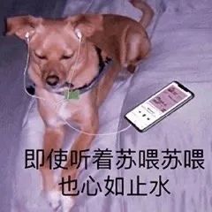 【表情包】最新摆摊表情包 【表情包】最新摆摊表情包